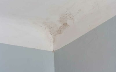 Signs That Your Roof Needs To Be Replaced